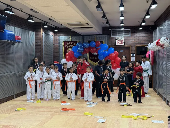 Elite Taekwondo USA Picture 3