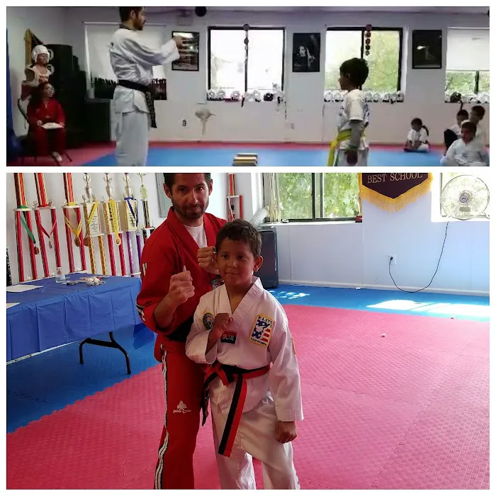 Elite Taekwondo USA Picture 7