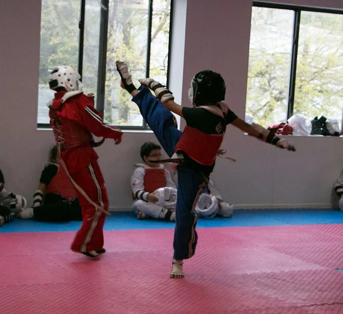 Elite Taekwondo USA Picture 9