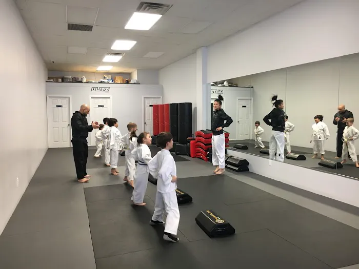 Blitz Dojo Martial Arts and Fitness Picture 1