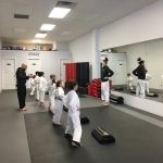 Blitz Dojo Martial Arts and Fitness