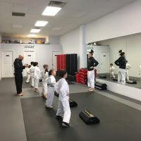 Blitz Dojo Martial Arts and Fitness ico
