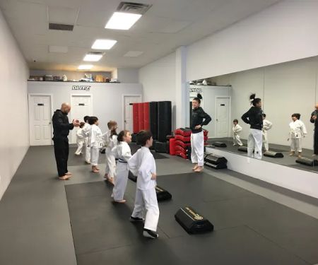 Blitz Dojo Martial Arts and Fitness