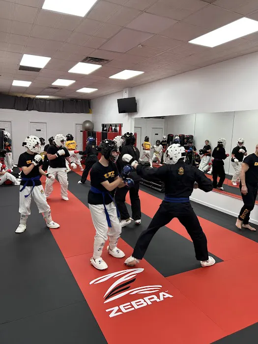 Blitz Dojo Martial Arts and Fitness Picture 2