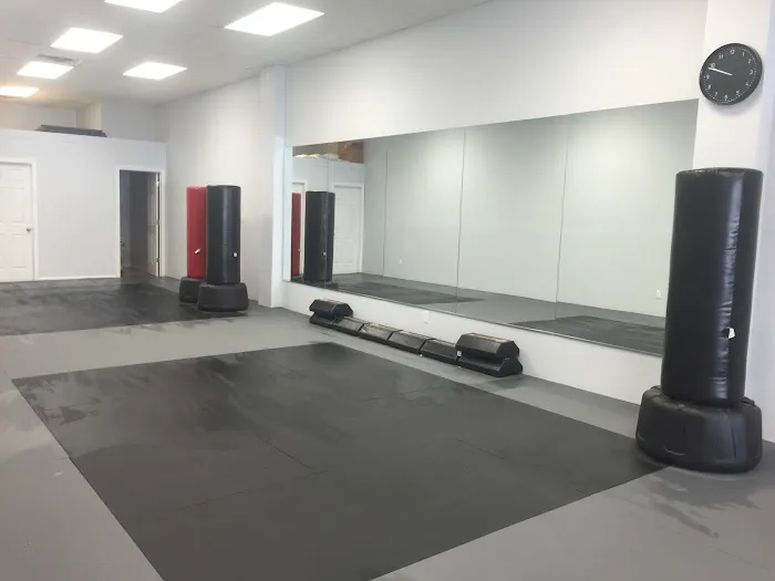 Blitz Dojo Martial Arts and Fitness Picture 3