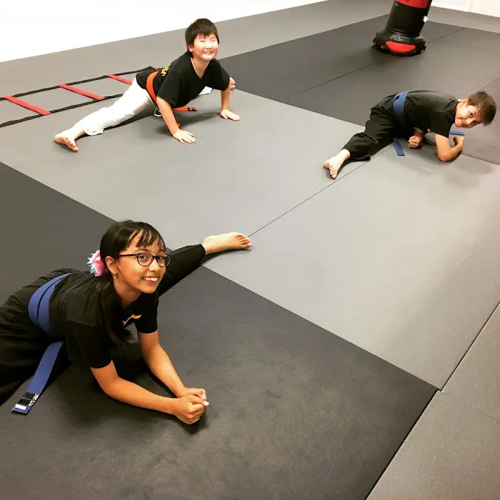 Blitz Dojo Martial Arts and Fitness Picture 9