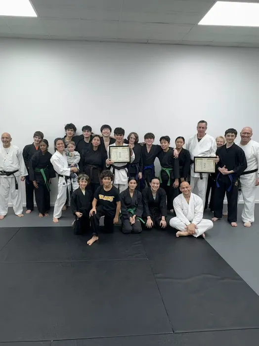 Blitz Dojo Martial Arts and Fitness Picture 5