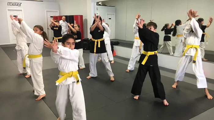 Blitz Dojo Martial Arts and Fitness Picture 10
