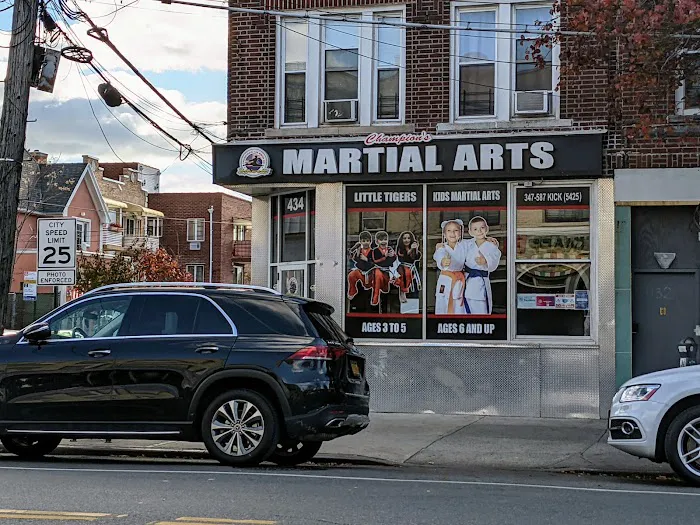 Champions Martial Arts Kings Highway Picture 1