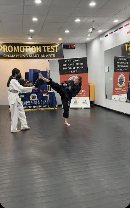Champions Martial Arts Kings Highway Picture 4