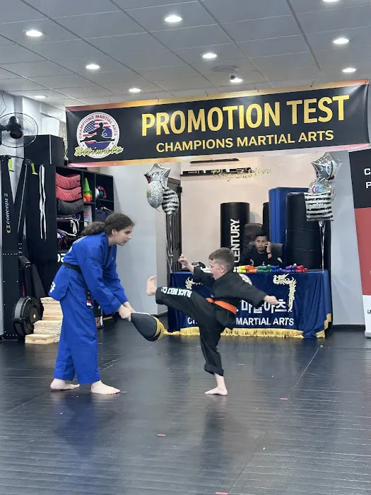 Champions Martial Arts Kings Highway Picture 6