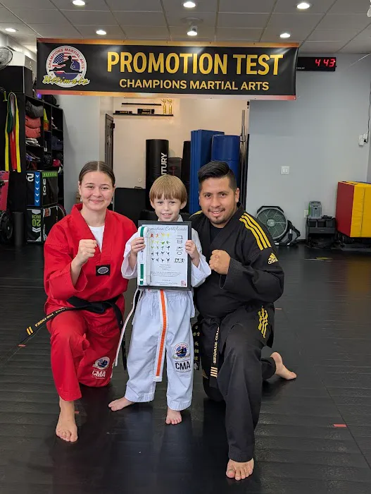 Champions Martial Arts Kings Highway Picture 9