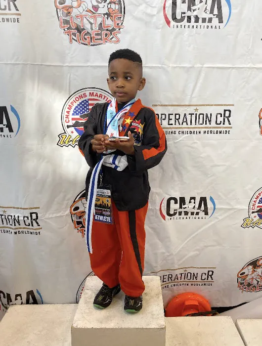 Champions Martial Arts Mill Basin Picture 1