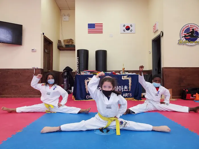 Champions Martial Arts Mill Basin Picture 3