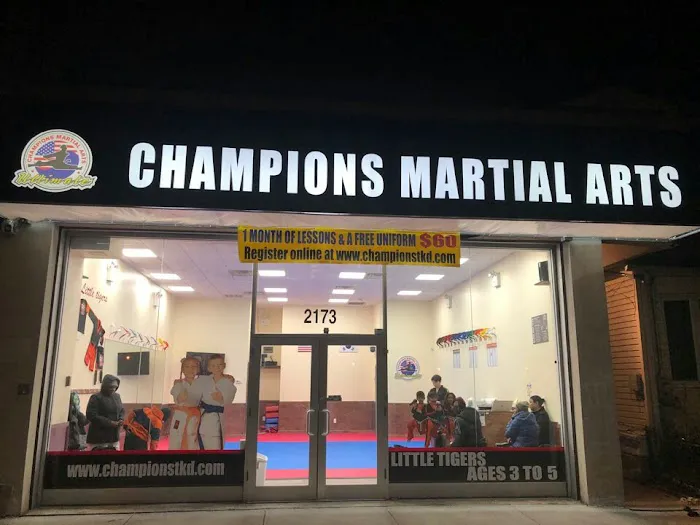 Champions Martial Arts Mill Basin Picture 6