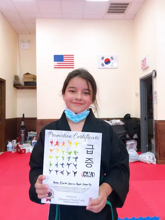 Champions Martial Arts Mill Basin Picture 10