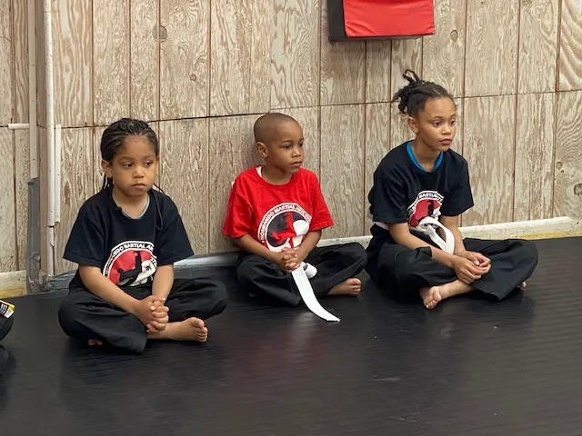 Mormando Martial Arts System Picture 1