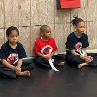 Mormando Martial Arts System ico