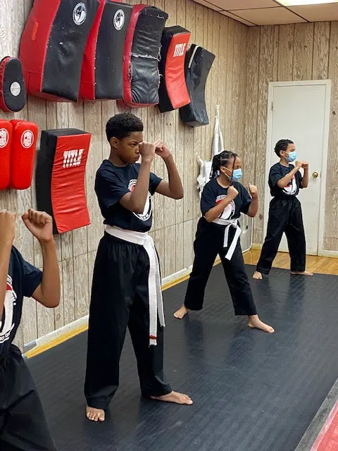 Mormando Martial Arts System Picture 8