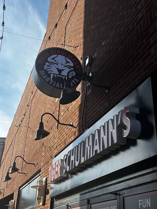 Tiger Schulmann's Martial Arts (Glendale, NY) Picture 2