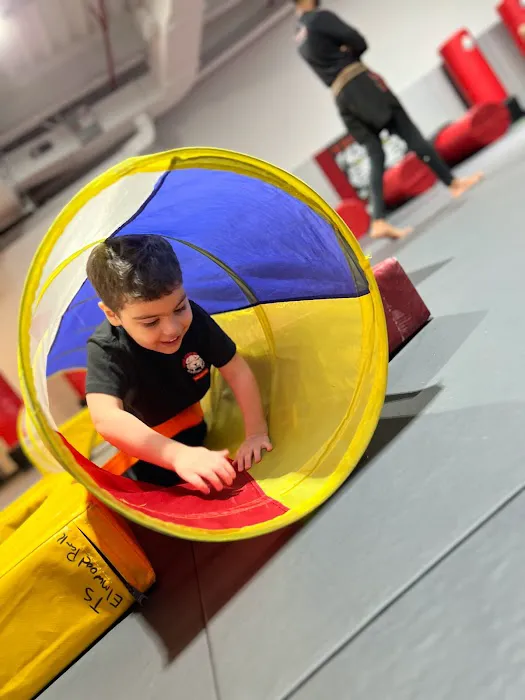 Tiger Schulmann's Martial Arts (Glendale, NY) Picture 9
