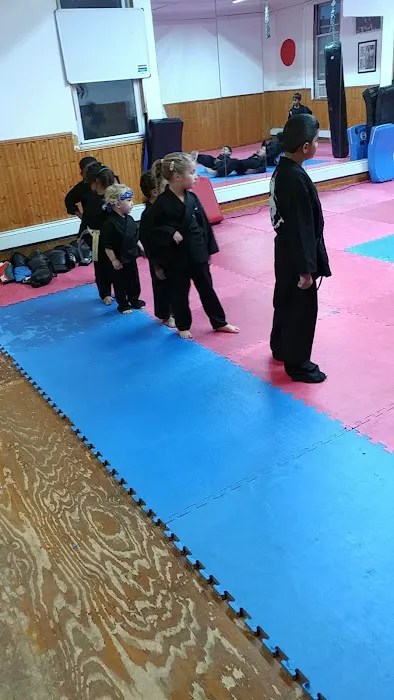 Woodhaven Martial Art School Of Self Defense Picture 5