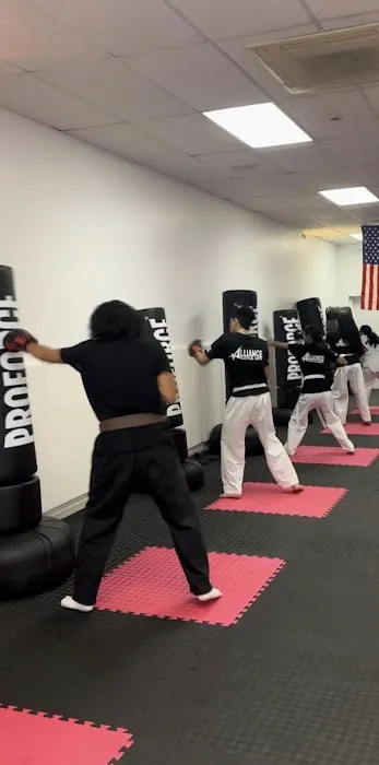 Alliance Martial Arts NY Picture 1