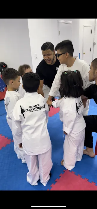 Alliance Martial Arts NY Picture 4