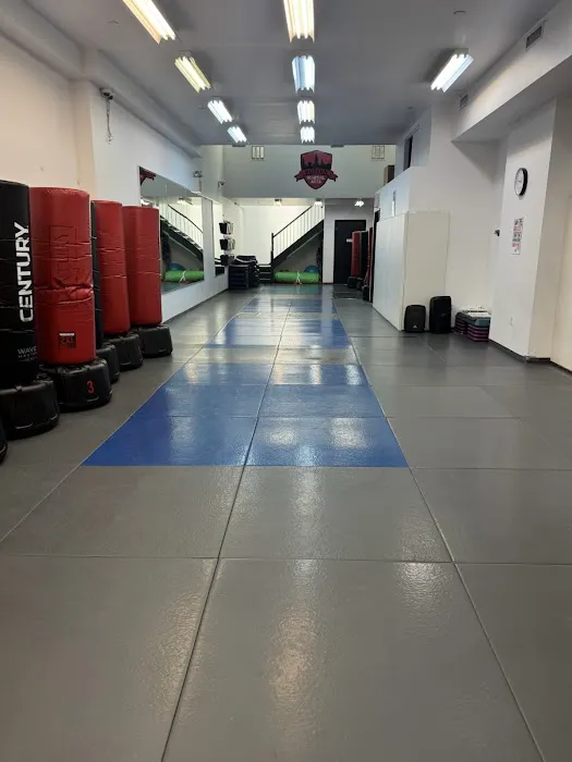 Modern Martial Arts Upper West Side Picture 6