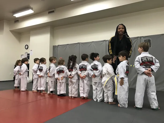 Modern Martial Arts Upper West Side Picture 3