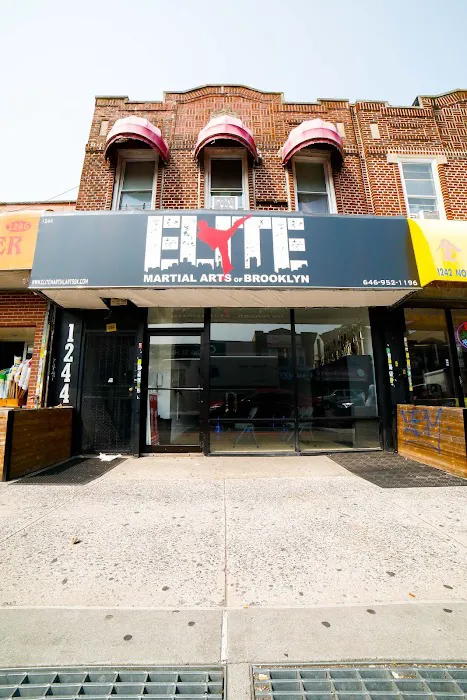 Elite Martial Arts of Brooklyn Picture 2