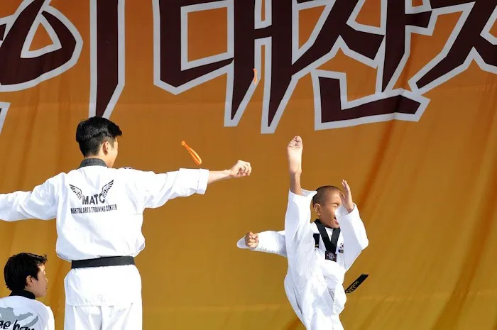 Daehan Taekwondo Ridgefield, NJ Picture 8