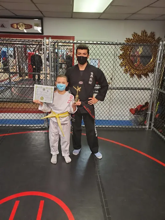 Universal Warrior Mixed Martial Arts Picture 1