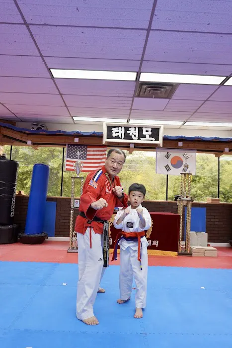 Black Belt America Picture 5
