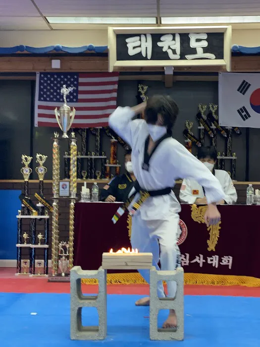 Black Belt America Picture 6