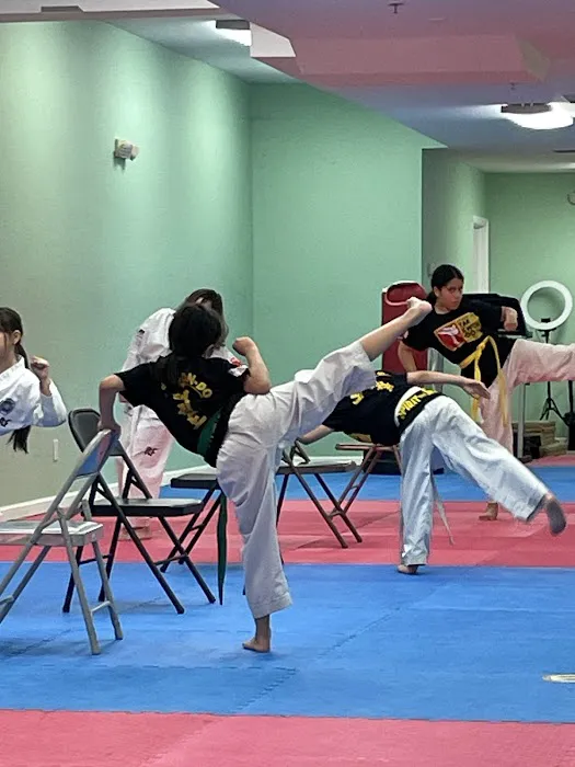 Harrison Taekwon-Do Picture 1