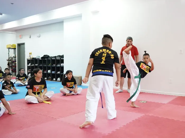 Harrison Taekwon-Do Picture 7