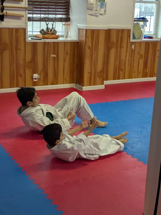 Traditional Karate of Newark Picture 2