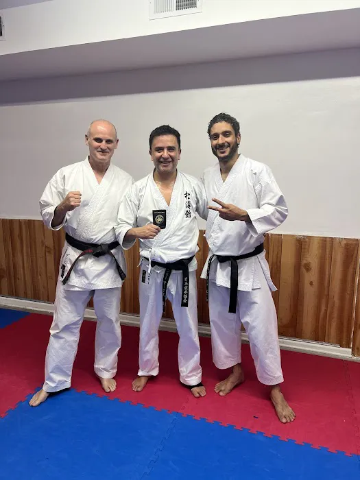 Traditional Karate of Newark Picture 4