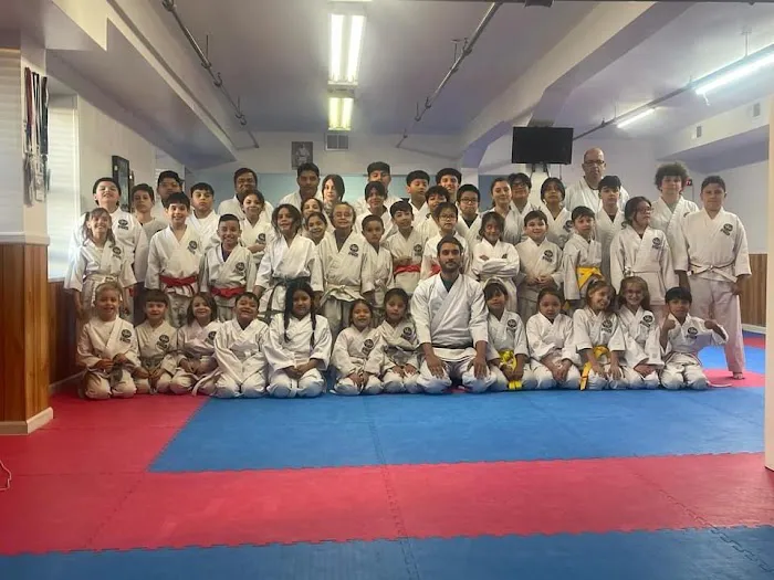 Traditional Karate of Newark Picture 5