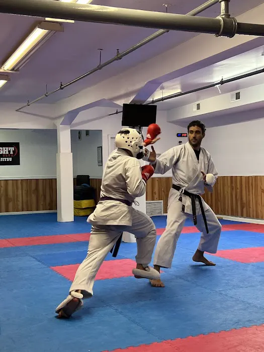 Traditional Karate of Newark Picture 6