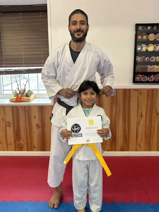Traditional Karate of Newark Picture 9