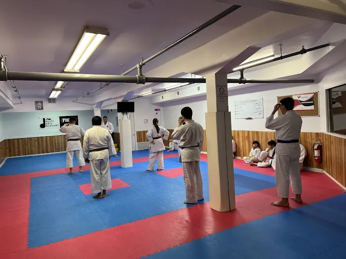 Traditional Karate of Newark Picture 7