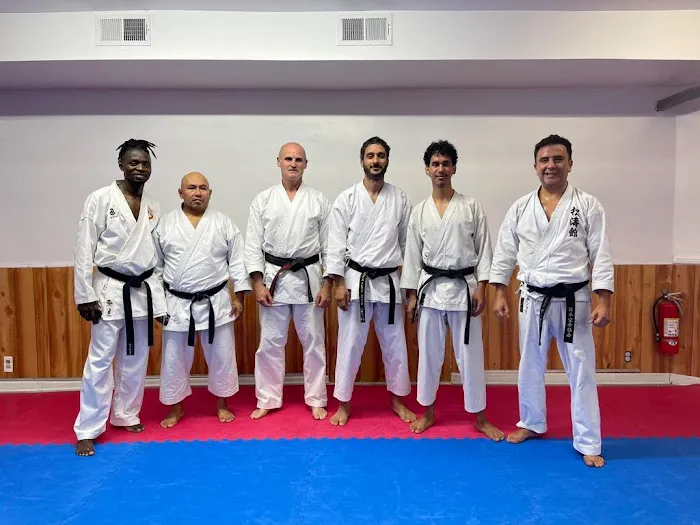 Traditional Karate of Newark Picture 8