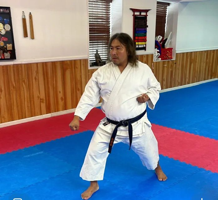 Traditional Karate of Newark Picture 10