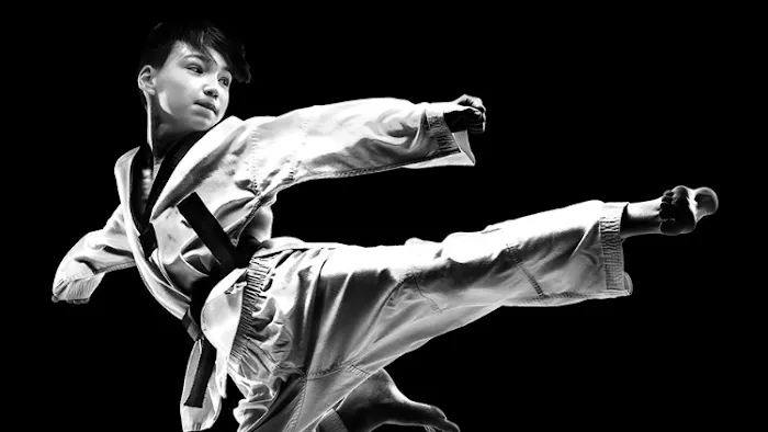 Kanzen Martial Arts Picture 6