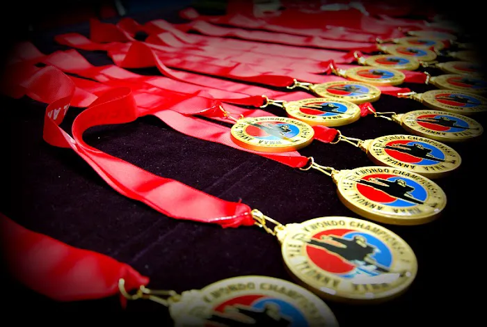 World Martial Arts Academy Picture 4