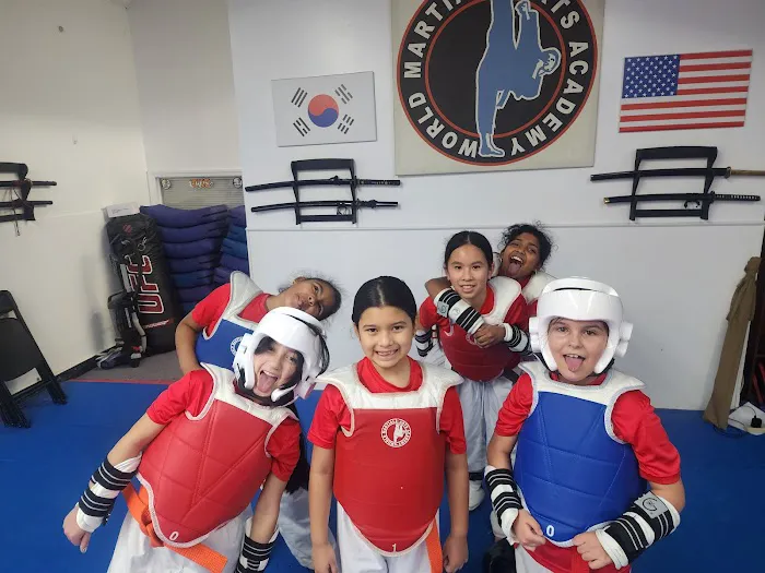 World Martial Arts Academy of Kearny Picture 2
