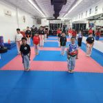 World Martial Arts Academy of Kearny
