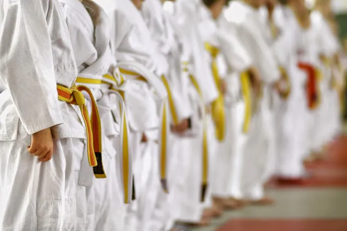 World Martial Arts Academy of Kearny Picture 4
